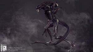 Movie-aliens-wallpapers-images-wallpaper