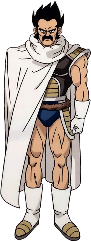 Broly (Dragon Ball Super), Villains Wiki, Fandom