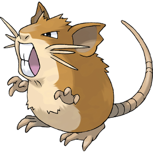 Raticate (Shares with Cassidy)