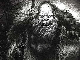 Fouke monster