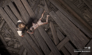 Catherine Braithwaite's charred body.