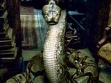 Nagini