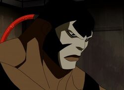 Bane YJ.jpg