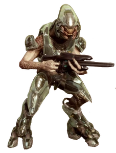 A Green Sangheili Storm in Halo 4.