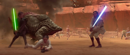 When the Geonosis strike team arrived and helped the three prisoners, the reek bucked its three riders off and went around the arena.