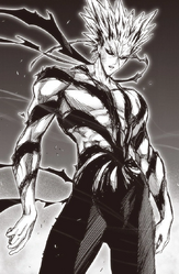 Garou's gradual transformation into his monstrous state.