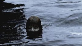 I150594703 34499 6.jpg-1-