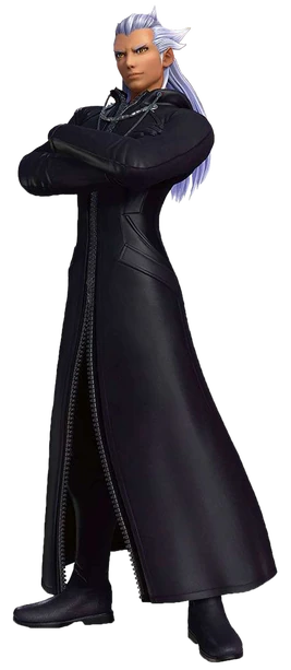 Organization XIII