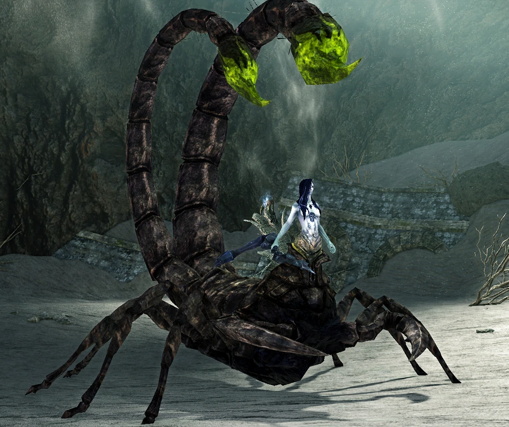 Black Scorpion Stinger - DarkSouls II Wiki