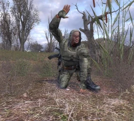 Bandit In A Stalker Suit