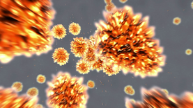 Bugster Bacteria