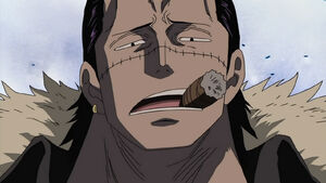 Crocodile, One Piece Wiki