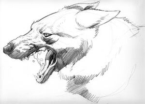 Concept drawing of the gamma-irradiated German Shepherd.