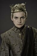 Joffrey Baratheon - Possibly the worst child ever, and representor of sloth. Doing as he like and doesn't like anybody, Joffrey is the reason why siblings should never get too close. If you'll ever decide to marry this monster, make sure your wedding is purple.