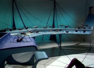 Metebelis Spiders.jpg