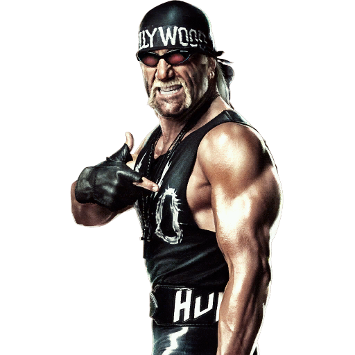 hulk hogan nwo attire