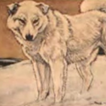 Spitz Gallery Villains Wiki Fandom