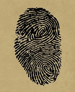 A fingerprint discovered at many of the murder scenes, belonging to SCP-4666. Note the double-whorl pattern.