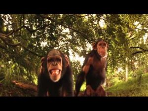 Tristar Pictures The Second Jungle Book- Mowgli & Baloo bandar log