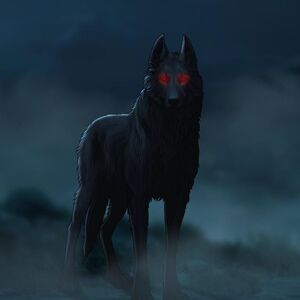 Black dog top red eyes