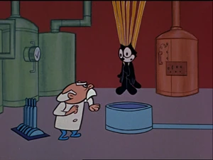 6299096.jpg (152 KB)