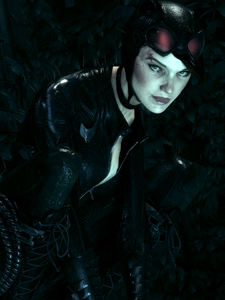 Catwoman in one of the Challenge Maps.