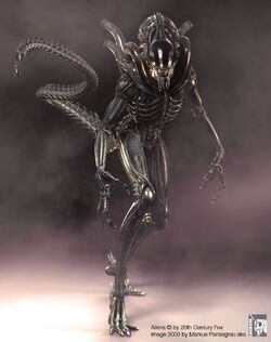 Xenomorph Warrior | Villains Wiki | Fandom Xenomorph Warrior | Villains Wiki | Fandom