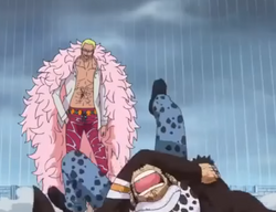 Doflamingo watching Law scream