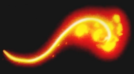 The Horned Serpent