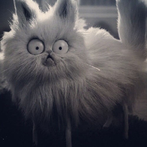 Mr. Whiskers (Frankenweenie) | Villains Wiki | Fandom