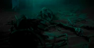 Ochi's remains