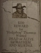 Hedgehog's wanted description.