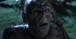 FFD68F2A-4710-4DEC-905D-A46EE24D3688