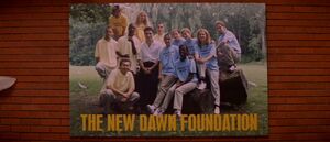 The New Dawn Foundation