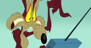 Wile E. Coyote 2020 34