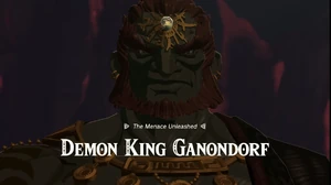Demon King Ganondorf.