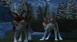 Widco and Kallisca spotting Tatonka stuck