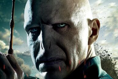Lord Voldemort The Ultimate Evil Wiki Fandom