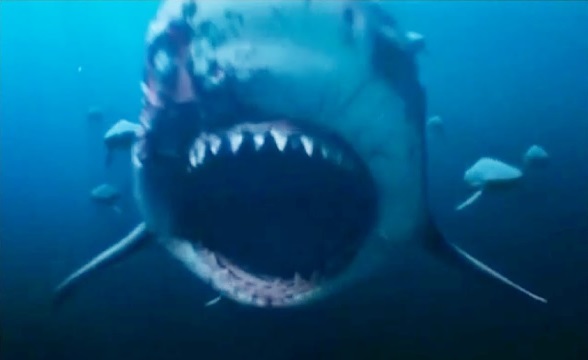 deep blue sea shark attack