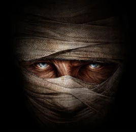 Fallout - Joshua Graham