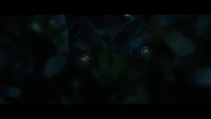 Sad eyes.jpg (22 KB)