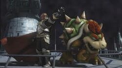 Bowser Brawl