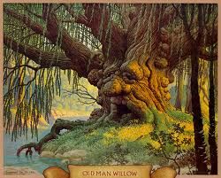 OldManWillow.jpg