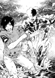 Togata judah head