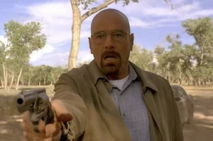 Walt shocked upon the fact that he just shot Mike.