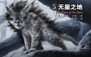 Ashfur on the Chinese cover of The Place of No Stars