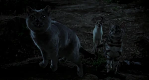 "What's the matter? What're you waiting for?"