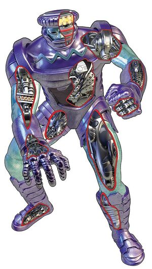 459 anatomy.jpg