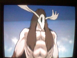 Ayon in Bleach: Heat Soul 7