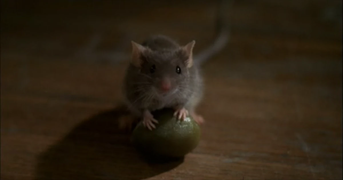 Mouse (MouseHunt) Villains Wiki Fandom